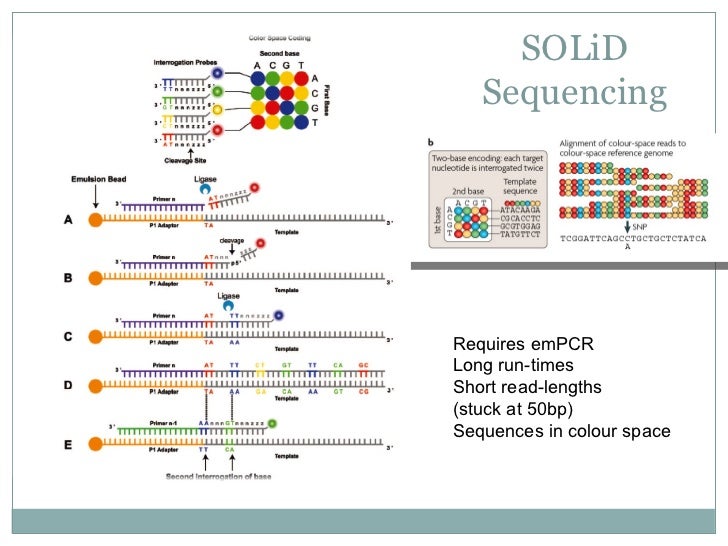 HighThroughput Sequencing