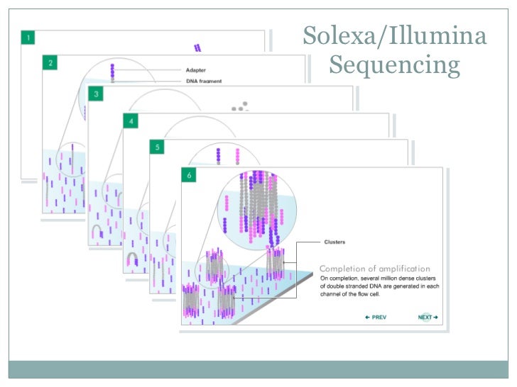 HighThroughput Sequencing