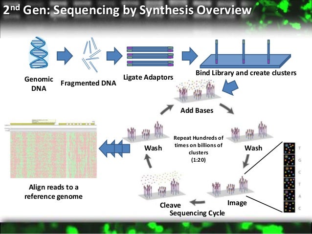 sequencing by synthesis