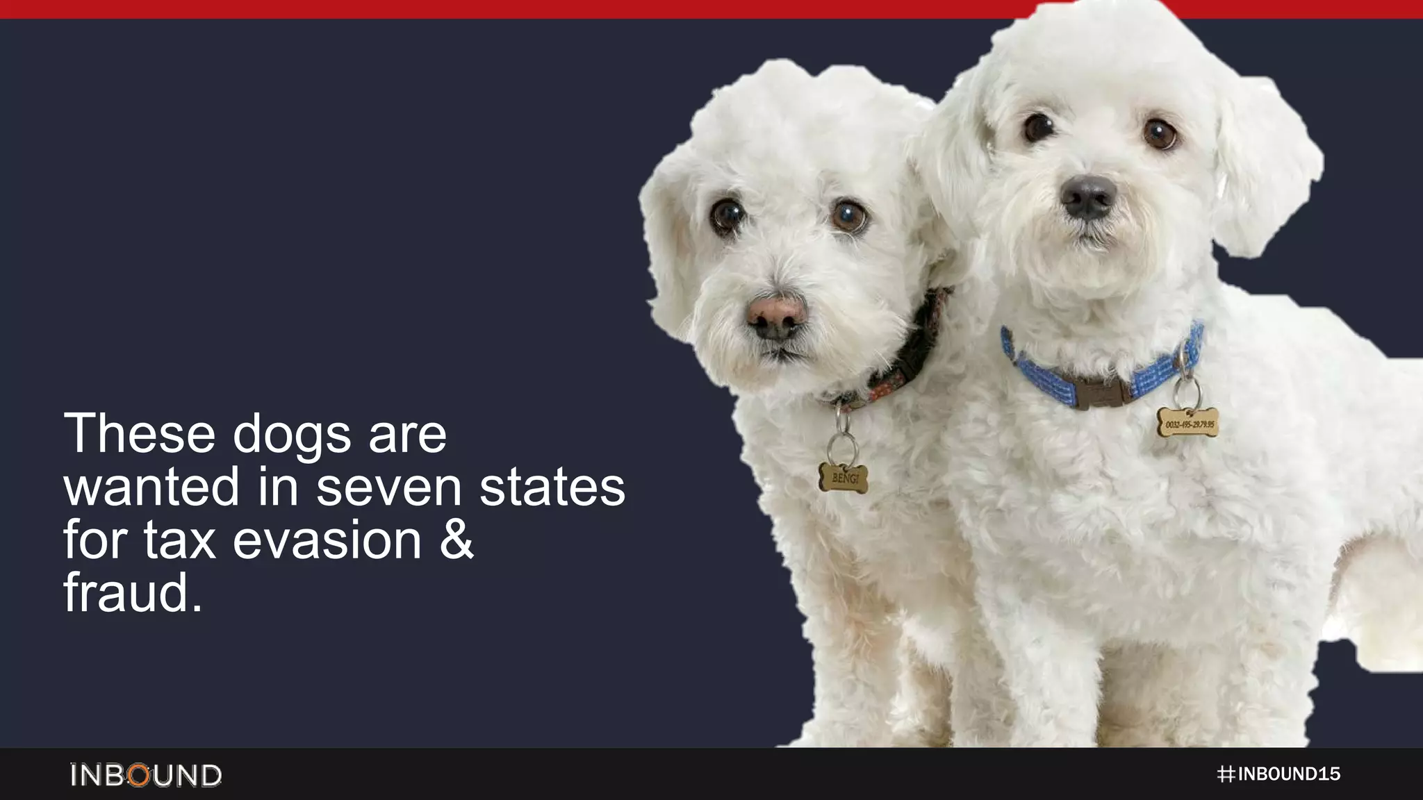 INBOUND15
These dogs are
wanted in seven states
for tax evasion &
fraud.
 