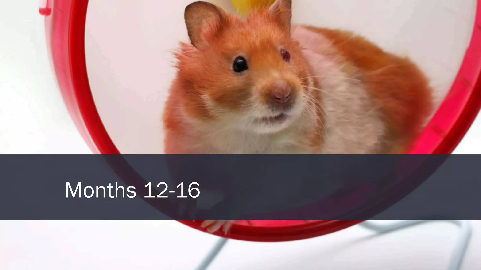 INBOUND15
Months 12-16
 