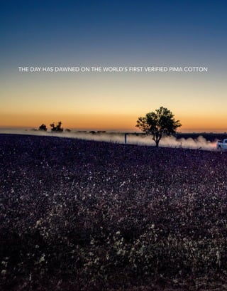 THE DAY HAS DAWNED ON THE WORLD’S FIRST VERIFIED PIMA COTTON
 
