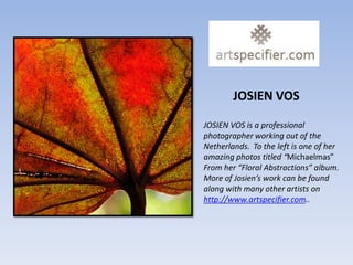 JOSIEN VOS

JOSIEN VOS is a professional
photographer working out of the
Netherlands. To the left is one of her
amazing photos titled “Michaelmas”
From her “Floral Abstractions” album.
More of Josien’s work can be found
along with many other artists on
http://www.artspecifier.com..
 