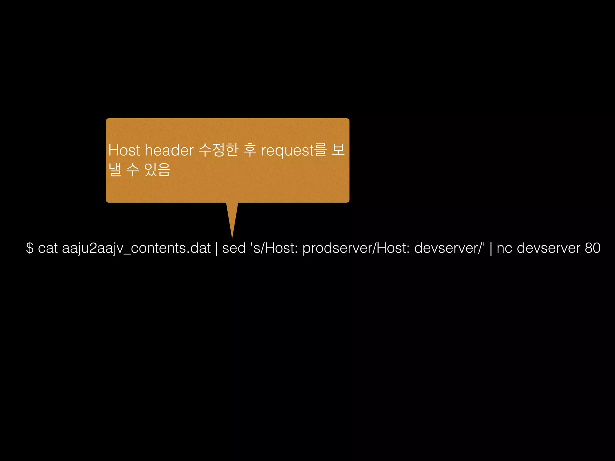 $ cat aaju2aajv_contents.dat | sed 's/Host: prodserver/Host: devserver/' | nc devserver 80
Host header 수정한 후 request를 보
낼 수 있음
 