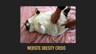 WEBSITE OBESITY CRISIS
 