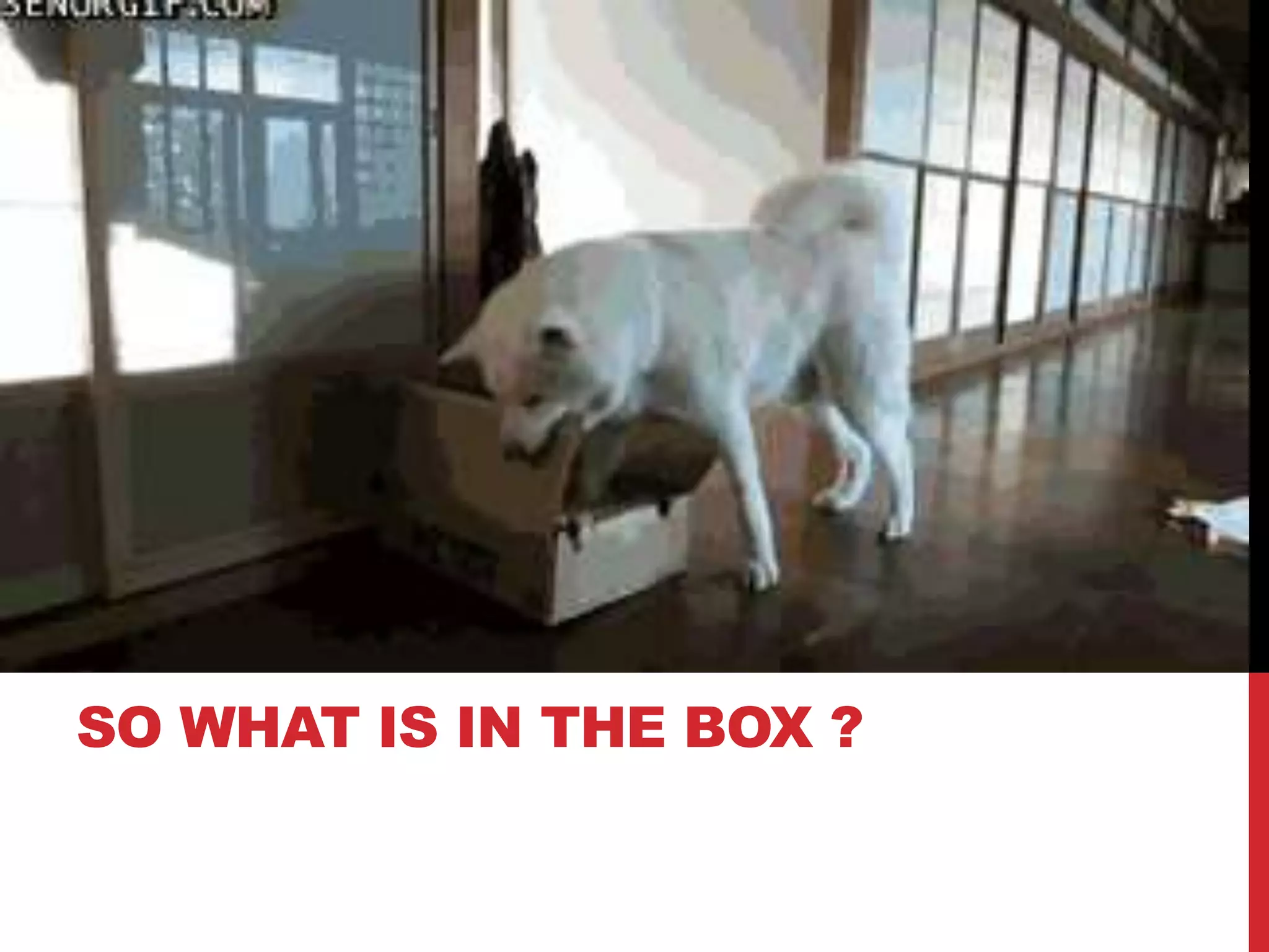 SO WHAT IS IN THE BOX ?
 