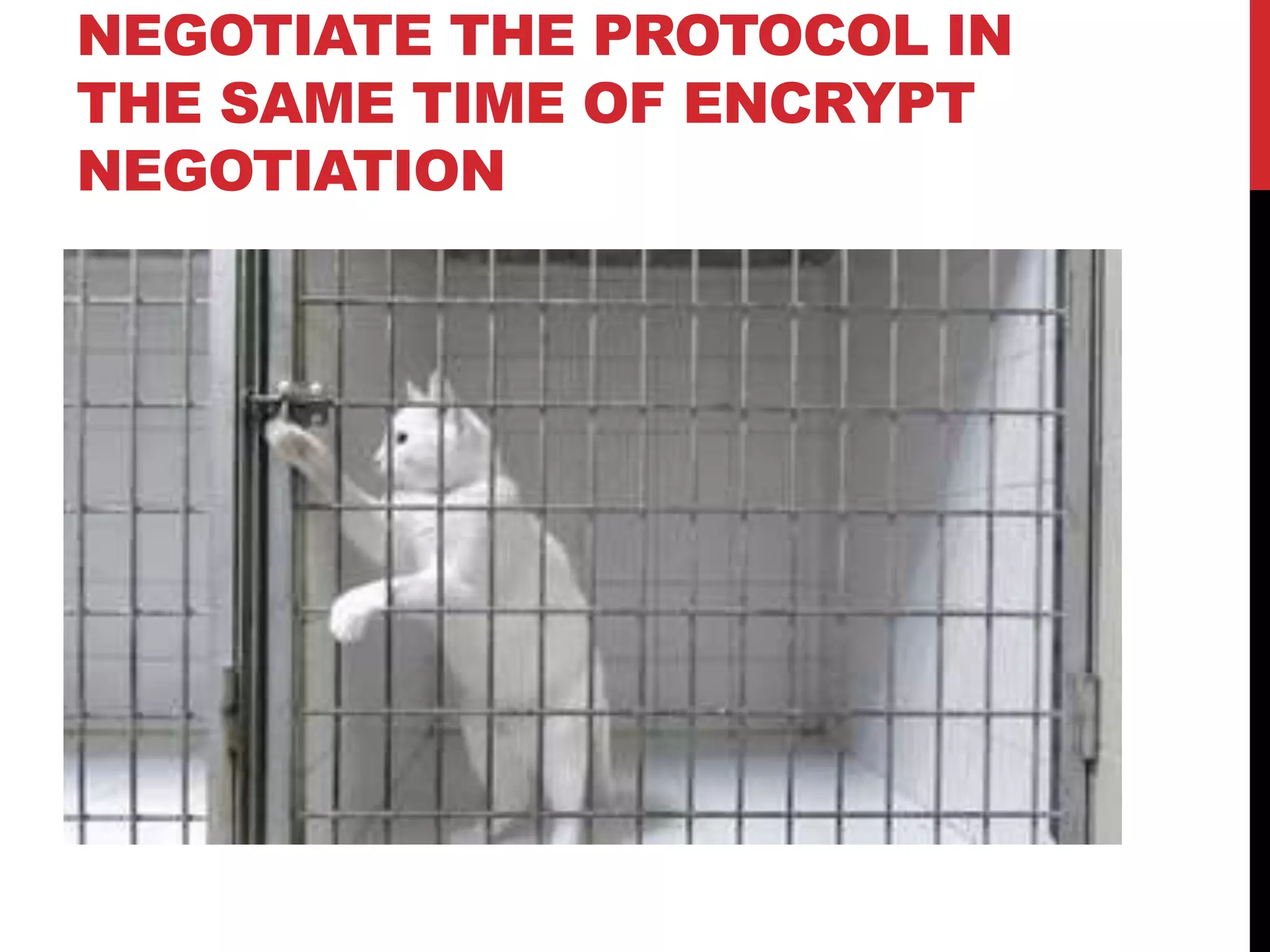 NEGOTIATE THE PROTOCOL IN
THE SAME TIME OF ENCRYPT
NEGOTIATION
 