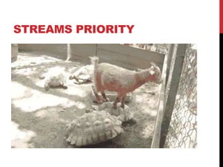 STREAMS PRIORITY
 