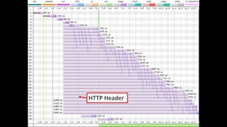 HTTP Header
 
