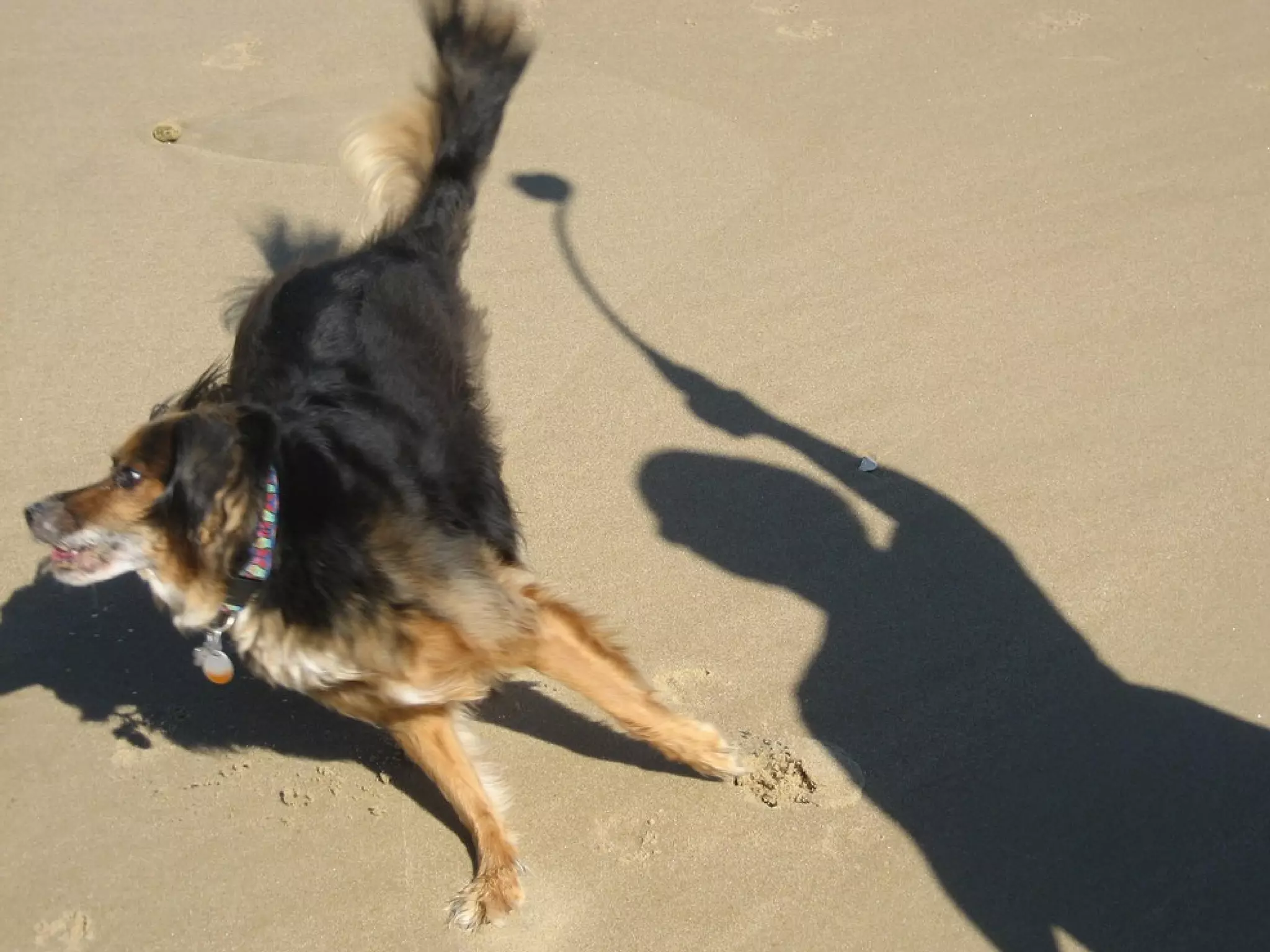 Request 
POST /gists HTTP/1.1 
Authorization: Basic xxxxxxxx 
Host: api.github.com 
Content-Length: 146 
{ 
"description": "the description for this gist", 
"public": false, 
"files": { 
... 
GET, POST, PUT, DELETE 
 