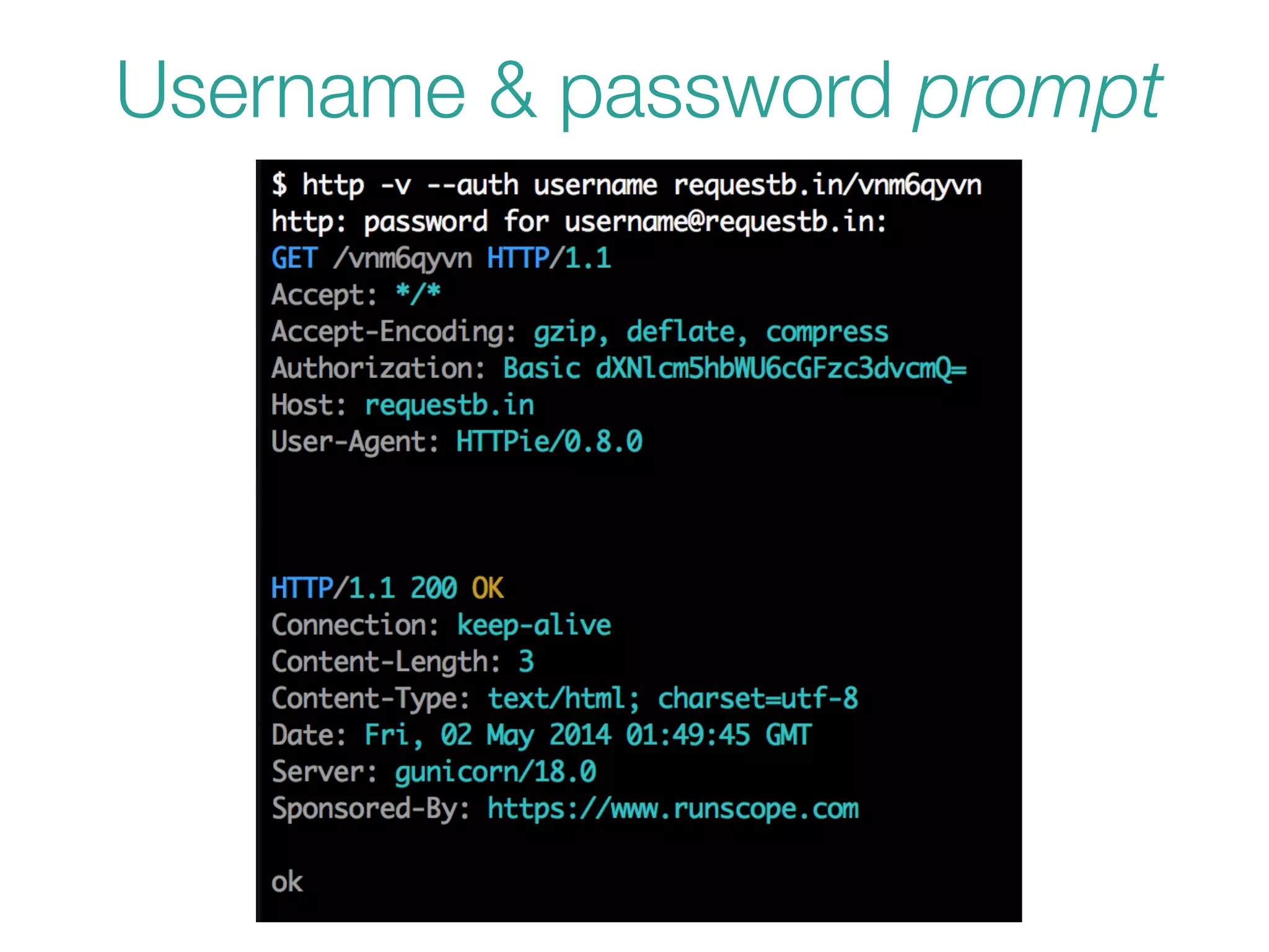 Username & password prompt
 
