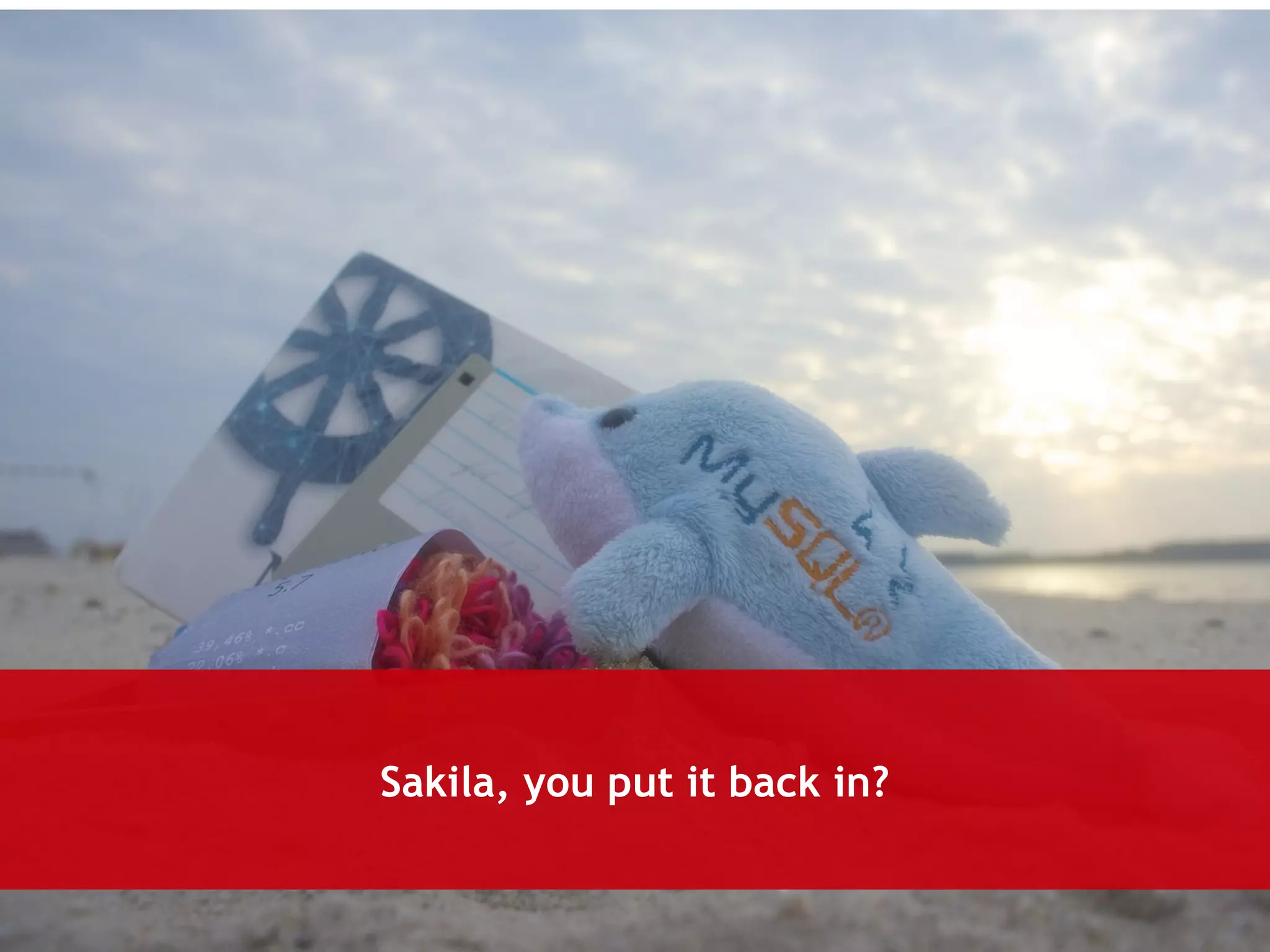 Sakila, you put it back in? 
 