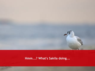 Hmm...? What's Sakila doing... 
 