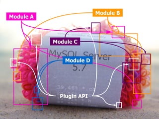 Module A 
Module B 
Module C 
Module D 
Plugin API 
 