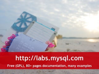http://labs.mysql.com 
Free (GPL), 80+ pages documentation, many examples 
 