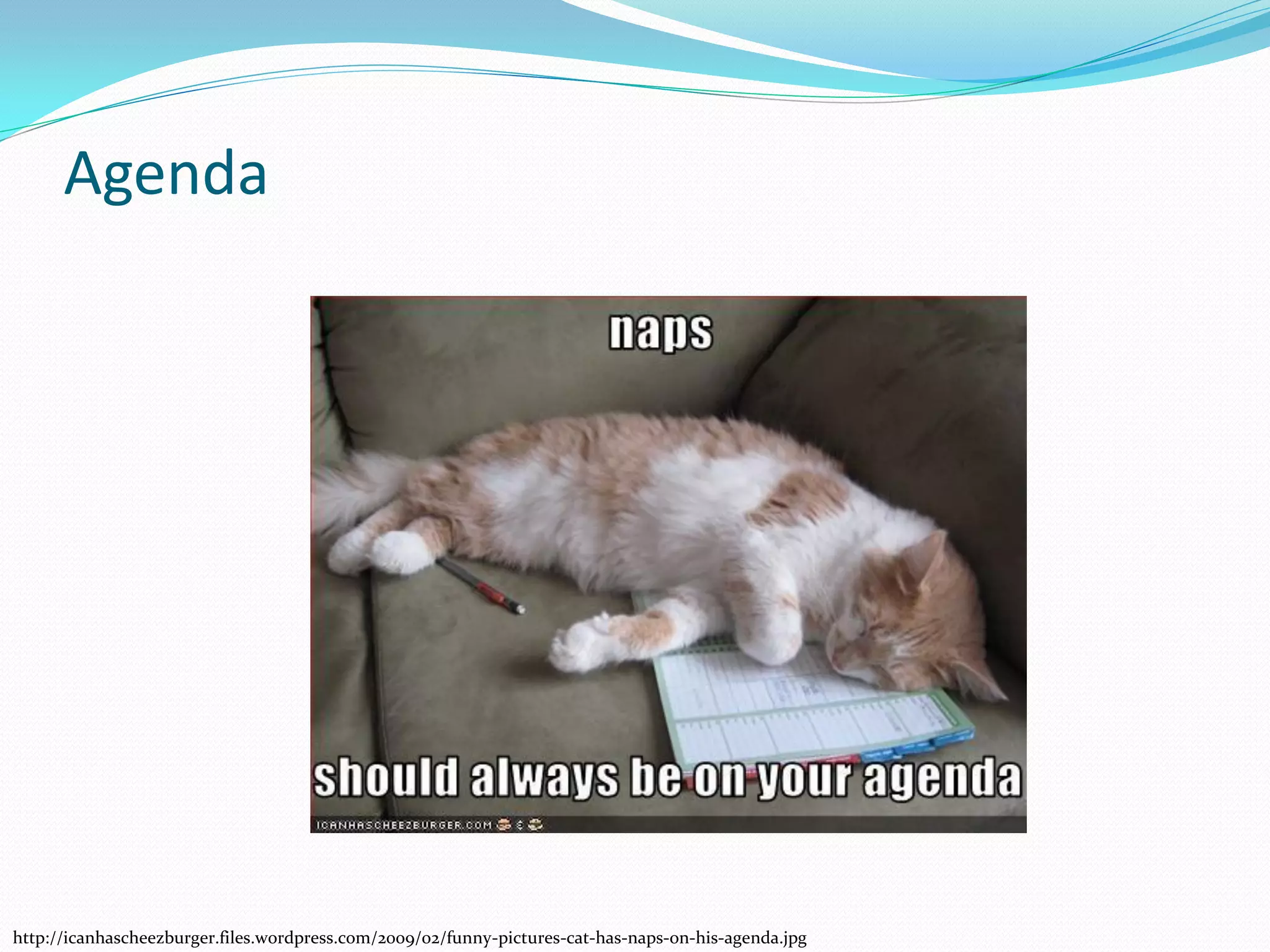 Agenda




http://icanhascheezburger.files.wordpress.com/2009/02/funny-pictures-cat-has-naps-on-his-agenda.jpg
 