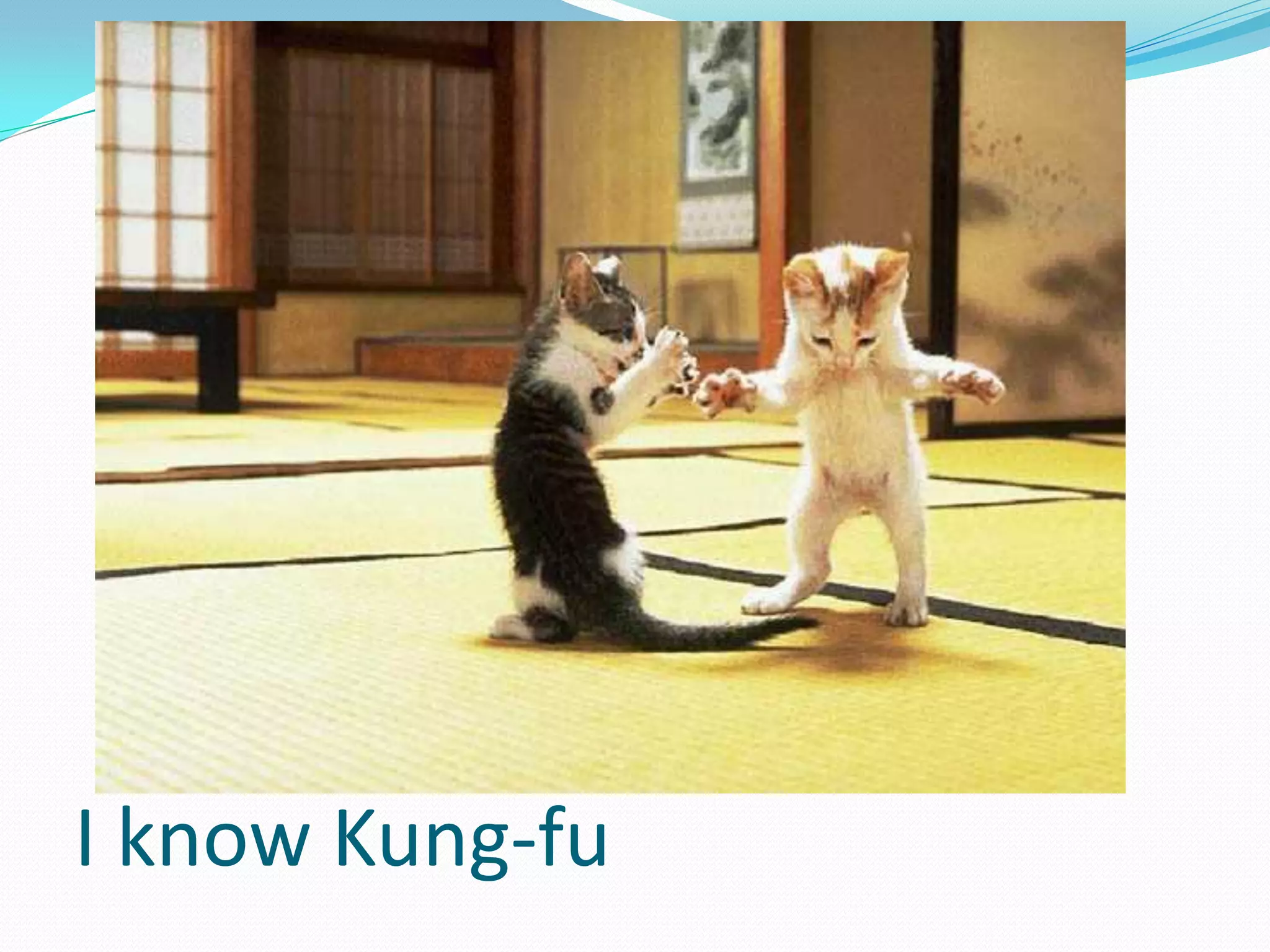 I know Kung-fu
 