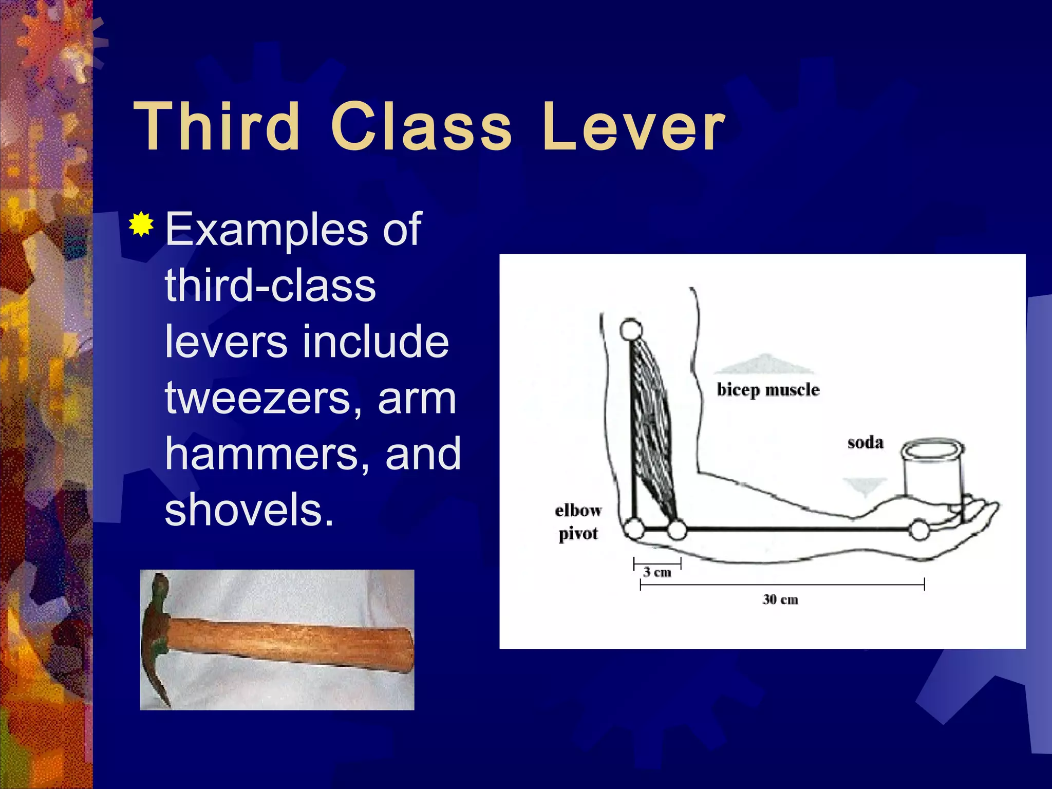 Third Class Lever
 Examples of
third-class
levers include
tweezers, arm
hammers, and
shovels.
 