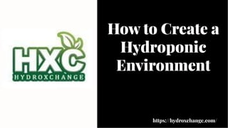 How to Create a
Hydroponic
Environment
How to Create a
Hydroponic
Environment
https://hydroxchange.com/
 
