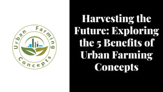 Harvesting the
Future: Exploring
the 5 Benefits of
Urban Farming
Concepts
Harvesting the
Future: Exploring
the 5 Benefits of
Urban Farming
Concepts
 