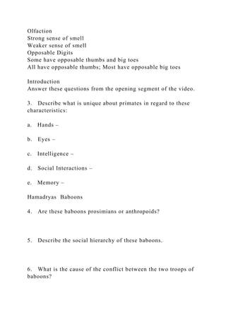 Olfaction
Strong sense of smell
Weaker sense of smell
Opposable Digits
Some have opposable thumbs and big toes
All have opposable thumbs; Most have opposable big toes
Introduction
Answer these questions from the opening segment of the video.
3. Describe what is unique about primates in regard to these
characteristics:
a. Hands –
b. Eyes –
c. Intelligence –
d. Social Interactions –
e. Memory –
Hamadryas Baboons
4. Are these baboons prosimians or anthropoids?
5. Describe the social hierarchy of these baboons.
6. What is the cause of the conflict between the two troops of
baboons?
 