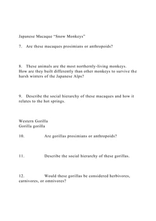 Japanese Macaque “Snow Monkeys”
7. Are these macaques prosimians or anthropoids?
8. These animals are the most northernly-living monkeys.
How are they built differently than other monkeys to survive the
harsh winters of the Japanese Alps?
9. Describe the social hierarchy of these macaques and how it
relates to the hot springs.
Western Gorilla
Gorilla gorilla
10. Are gorillas prosimians or anthropoids?
11. Describe the social hierarchy of these gorillas.
12. Would these gorillas be considered herbivores,
carnivores, or omnivores?
 