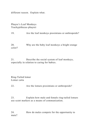 different reason. Explain what.
Phayre’s Leaf Monkeys
Trachypithecus phayrei
19. Are the leaf monkeys prosimians or anthropoids?
20. Why are the baby leaf monkeys a bright orange
color?
21. Describe the social system of leaf monkeys,
especially in relation to caring for babies.
Ring-Tailed lemur
Lemur catta
22. Are the lemurs prosimians or anthropoids?
23. Explain how male and female ring-tailed lemurs
use scent markers as a means of communication.
24. How do males compete for the opportunity to
mate?
 
