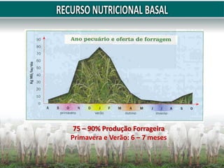 75 – 90% Produção Forrageira
Primavera e Verão: 6 – 7 meses
 