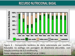 Figura 4 - Composição botânica da dieta selecionada por novilhos
fistulados no esôfago em pastagem de Brachiaria decumbes, com
lotação contínua de 3,5 novilhos/ha.
Fonte: Adaptado de LOURENÇO et al. (1981)
 