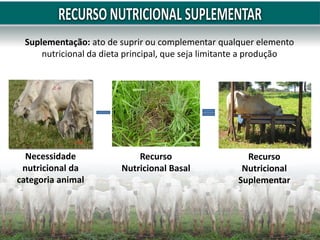 Suplementação: ato de suprir ou complementar qualquer elemento
nutricional da dieta principal, que seja limitante a produção
Necessidade
nutricional da
categoria animal
Recurso
Nutricional Basal
Recurso
Nutricional
Suplementar
 