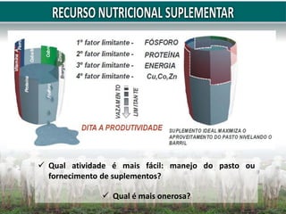  Qual atividade é mais fácil: manejo do pasto ou
fornecimento de suplementos?
 Qual é mais onerosa?
 