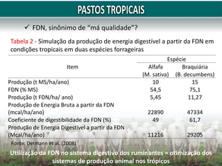 Item
Espécie
Alfafa Braquiária
(M. sativa) (B. decumbens)
Produção (t MS/ha/ano) 10 15
FDN (% MS) 54,5 75,1
Produção (t FDN/ha/ ano) 5,45 11,27
Produção de Energia Bruta a partir da FDN
(mcal/ha/ano) 22890 47334
Coeficiente de digestibilidade da FDN (%) 49 61,7
Produção de Energia Digestível a partir da FDN
(Mcal/ha/ano) 11216 29205
Tabela 2 - Simulação da produção de energia digestível a partir da FDN em
condições tropicais em duas espécies forrageiras
Fonte: Detmann et al. (2008)
 FDN, sinônimo de “má qualidade”?
Utilização da FDN no sistema digestivo dos ruminantes = otimização dos
sistemas de produção animal nos trópicos
 
