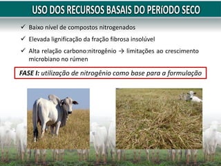  Baixo nível de compostos nitrogenados
 Elevada lignificação da fração fibrosa insolúvel
 Alta relação carbono:nitrogênio → limitações ao crescimento
microbiano no rúmen
FASE I: utilização de nitrogênio como base para a formulação
 