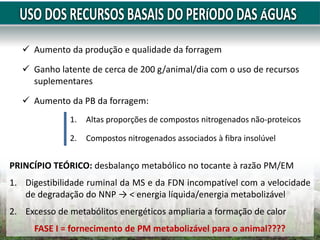  Aumento da produção e qualidade da forragem
 Ganho latente de cerca de 200 g/animal/dia com o uso de recursos
suplementares
 Aumento da PB da forragem:
1. Altas proporções de compostos nitrogenados não-proteicos
2. Compostos nitrogenados associados à fibra insolúvel
PRINCÍPIO TEÓRICO: desbalanço metabólico no tocante à razão PM/EM
1. Digestibilidade ruminal da MS e da FDN incompatível com a velocidade
de degradação do NNP → < energia líquida/energia metabolizável
2. Excesso de metabólitos energéticos ampliaria a formação de calor
FASE I = fornecimento de PM metabolizável para o animal????
 