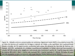 MNC
MC
F
3,0
3,5
4,0
4,5
5,0
5,5
6,0
6,5
7,0
7,5
8,0
200 250 300 350 400 450
Peso Vivo (kg)
NDT/PB
MNC MC F
Figura 16 - Relação entre as concentrações de nutrientes digestíveis totais (NDT) e de proteína bruta (PB)
na dieta de bovinos em pastejo em forragens tropicais de média a alta qualidade sem suplementação
(Dados oriundos de 20 experimentos conduzidos pelo grupo de pesquisa de Nutrição de Bovinos em
Pastejo, DZO-UFV, perfazendo 95 unidades experimentais avaliadas. As linhas contínuas representam a
relação NDT/PB ditada pelas exigências nutricionais para mantença e ganho de 1 kg/dia segundo dados
do sistema BR-CORTE. MNC = macho não-castrado; MC = macho castrado; F = fêmea. Os dados de peso
vivo são baseados no peso ao início de cada experimento). Fonte: Detmann et al. (2010).
 