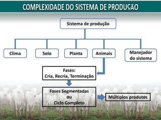 Sistema de produção
Clima Solo Planta Animais Manejador
do sistema
Fases:
Cria, Recria, Terminação
Fases Segmentadas
ou
Ciclo Completo
Múltiplos produtos
 