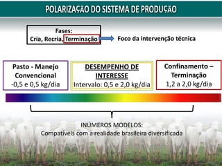Pasto - Manejo
Convencional
-0,5 e 0,5 kg/dia
Confinamento –
Terminação
1,2 a 2,0 kg/dia
DESEMPENHO DE
INTERESSE
Intervalo: 0,5 e 2,0 kg/dia
Fases:
Cria, Recria, Terminação Foco da intervenção técnica
INÚMEROS MODELOS:
Compatíveis com a realidade brasileira diversificada
 