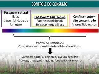 Pastagem natural
Baixa
disponibilidade de
forragem
Confinamento –
alto concentrado
fatores fisiológicos
PASTAGEM CULTIVADA
Fatores nutricionais
Físicos e metabólicos
INÚMEROS MODELOS:
Compatíveis com a realidade brasileira diversificada
Sistemas: pasto/suplemento, lavoura-pecuária-
floresta, pastagens irrigadas, forrageiras de inverno
 