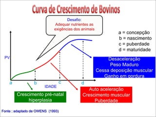 Fonte : adaptado de OWENS (1993)
Desafio:
Adequar nutrientes as
exigências dos animais
a b c d
Crescimento pré-natal
hiperplasia
Auto aceleração
Crescimento muscular
Puberdade
Desaceleração
Peso Maduro
Cessa deposição muscular
Ganho em gordura
IDADE
PV
a = concepção
b = nascimento
c = puberdade
d = maturidade
 