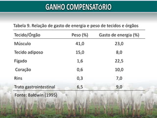 Tecido/Órgão Peso (%) Gasto de energia (%)
Músculo 41,0 23,0
Tecido adiposo 15,0 8,0
Fígado 1,6 22,5
Coração 0,6 10,0
Rins 0,3 7,0
Trato gastrointestinal 6,5 9,0
Tabela 9. Relação de gasto de energia e peso de tecidos e órgãos
Fonte: Baldwin (1995)
 