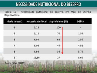 Idade (meses) Necessidade Total Suprida leite (%) Déficit
1 3,28 100 -
2 5,12 70 1,54
3 6,93 63 2,56
4 8,08 44 4,52
5 8,98 36 5,75
6 11,86 27 8,66
Tabela 10 - Necessidade nutricional do bezerro, em Mcal de Energia
Digestível/dia.
Fonte: Silva (2000)
 