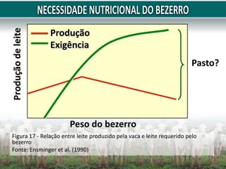 Figura 17 - Relação entre leite produzido pela vaca e leite requerido pelo
bezerro
Fonte: Ensminger et al. (1990)
Peso do bezerro
Produção
de
leite
Produção
Exigência
Pasto?
 