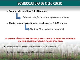 Prenhez de novilhas: 14 –18 meses
Primeira estação de monta após o nascimento
Abate de machos e fêmeas de descarte: 16-21 meses
Eliminar 2ª seca da vida do animal
O ANIMAL NÃO PODE TER APENAS A NECESSIDADE DE MANTENÇA SUPRIDA
EM NENHUM MOMENTO DO CICLO PRODUTIVO
• Meta produtiva na seca pós-desmama: 1 a 1,5 arrobas
• Destaque: custo operacional do animal na pastagem
 