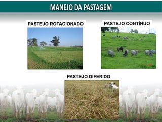 PASTEJO ROTACIONADO PASTEJO CONTÍNUO
PASTEJO DIFERIDO
 