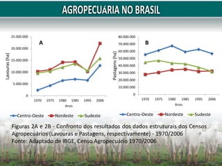 0
5.000.000
10.000.000
15.000.000
20.000.000
25.000.000
1970 1975 1980 1985 1995 2006
Lavouras
(ha)
Anos
Centro-Oeste Nordeste Sudeste
0
10.000.000
20.000.000
30.000.000
40.000.000
50.000.000
60.000.000
70.000.000
80.000.000
1970 1975 1980 1985 1995 2006
Pastagens
(ha)
Anos
Centro-Oeste Nordeste Sudeste
Figuras 2A e 2B - Confronto dos resultados dos dados estruturais dos Censos
Agropecuários (Lavouras e Pastagens, respectivamente) - 1970/2006
Fonte: Adaptado de IBGE, Censo Agropecuário 1970/2006.
A B
 