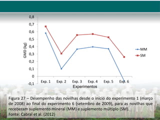 -0,1
0
0,1
0,2
0,3
0,4
0,5
0,6
0,7
0,8
Exp. 1 Exp. 2 Exp. 3 Exp. 4 Exp. 5 Exp. 6
GMD
(kg)
Experimentos
MM
SM
Figura 27 – Desempenho das novilhas desde o início do experimento 1 (março
de 2008) ao final do experimento 6 (setembro de 2009), para as novilhas que
receberam suplemento mineral (MM) e suplemento múltiplo (SM).
Fonte: Cabral et al. (2012)
 