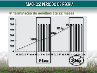 httpswww.embrapa.brdocuments13543772242895Suplementação+de+bovinos+a+pasto.pdf975bc9bb-1a8b-431e-8718-46e64cb31f24versi.pdf