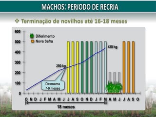 httpswww.embrapa.brdocuments13543772242895Suplementação+de+bovinos+a+pasto.pdf975bc9bb-1a8b-431e-8718-46e64cb31f24versi.pdf
