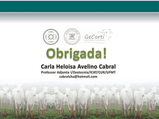 httpswww.embrapa.brdocuments13543772242895Suplementação+de+bovinos+a+pasto.pdf975bc9bb-1a8b-431e-8718-46e64cb31f24versi.pdf