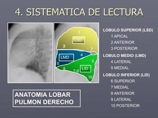 ANATOMIA LOBAR
PULMON DERECHO
LOBULO SUPERIOR (LSD)
1 APICAL
2 ANTERIOR
3 POSTERIOR
LOBULO MEDIO (LMD)
4 LATERAL
5 MEDIAL
LOBULO INFERIOR (LID)
6 SUPERIOR
7 MEDIAL
8 ANTERIOR
9 LATERAL
10 POSTERIOR
LSD
LMD
LID
1
1
2
3
4
5
6
8
10
7-9
4. SISTEMATICA DE LECTURA
 